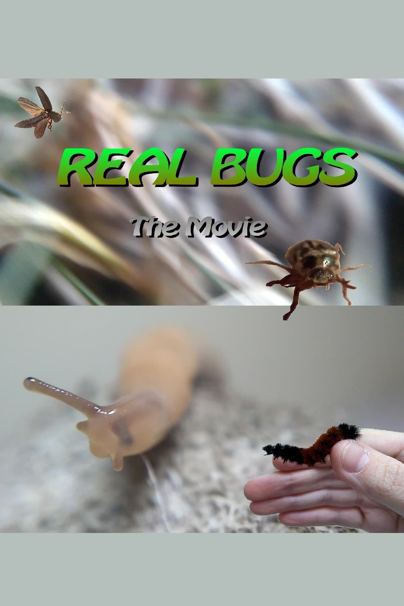 Real Bugs: The Movie