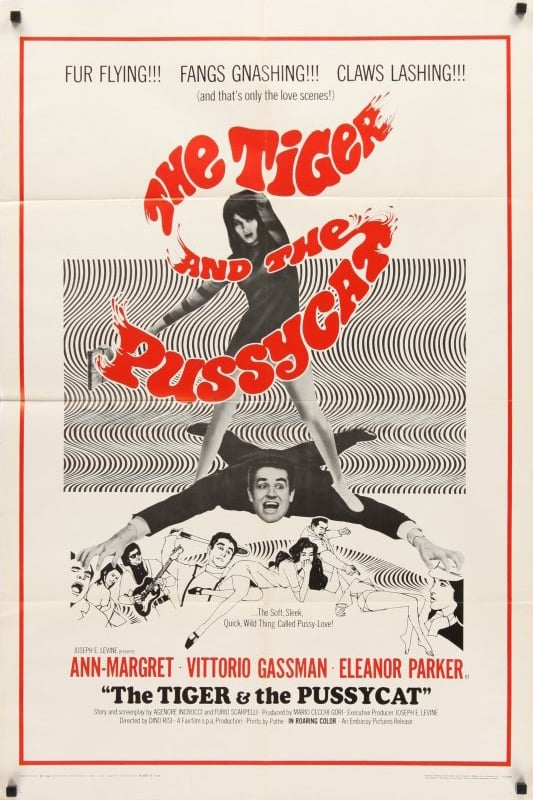The Tiger and the Pussycat (1967)