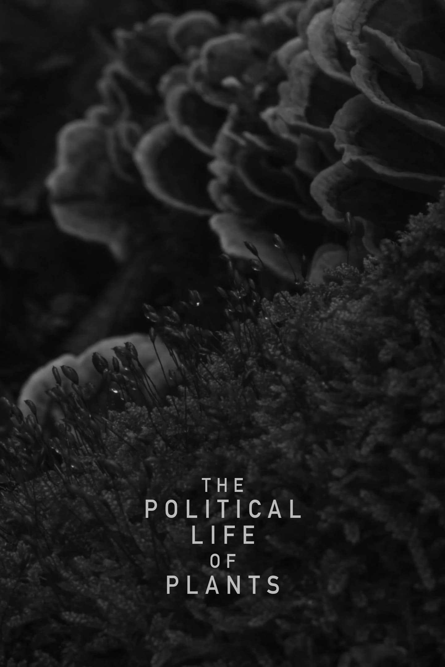 The Political Life of Plants