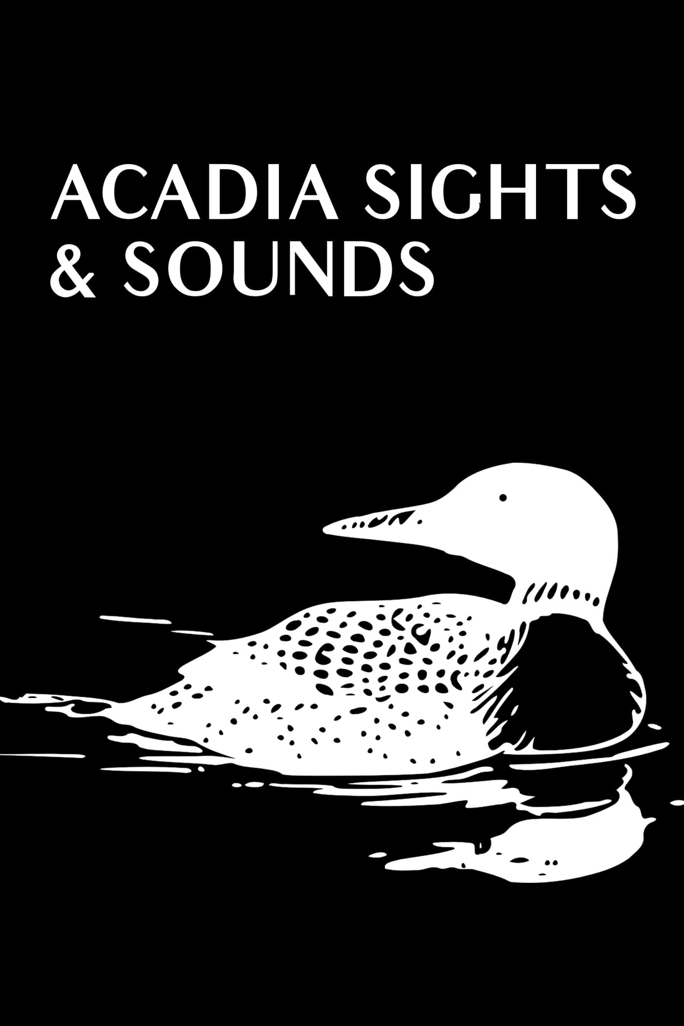 Acadia Sights & Sounds