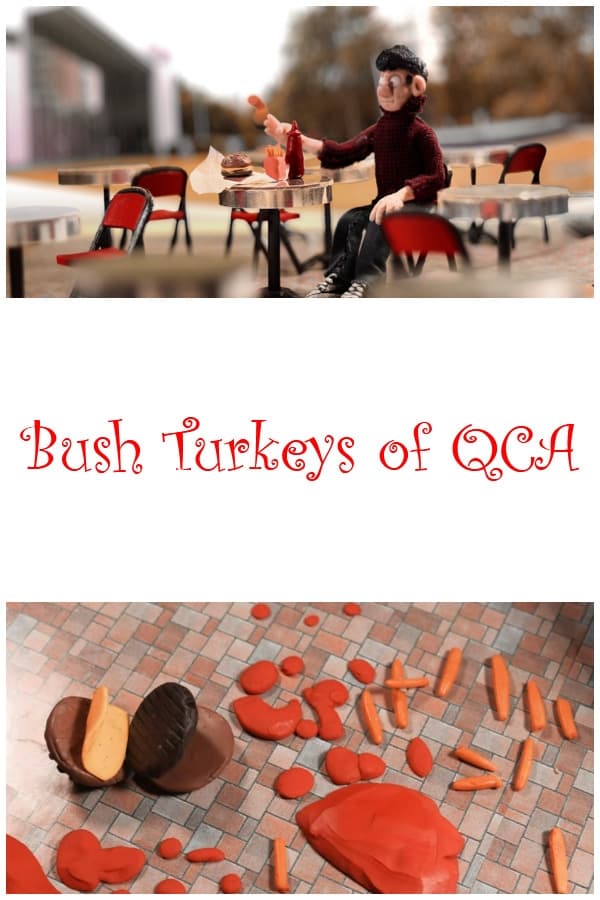 Bush Turkeys of QCA