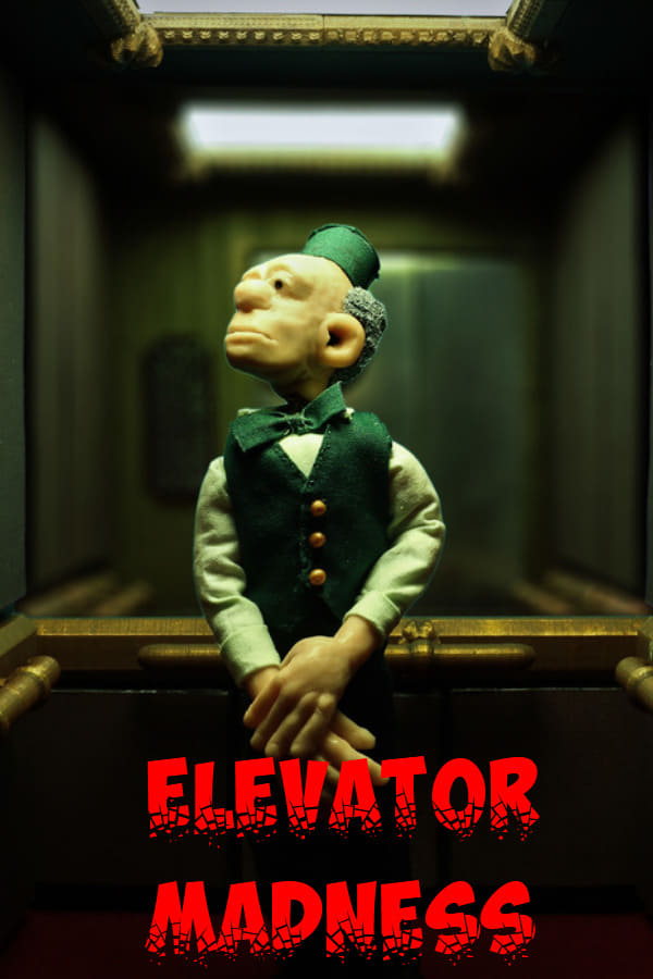 Elevator Madness