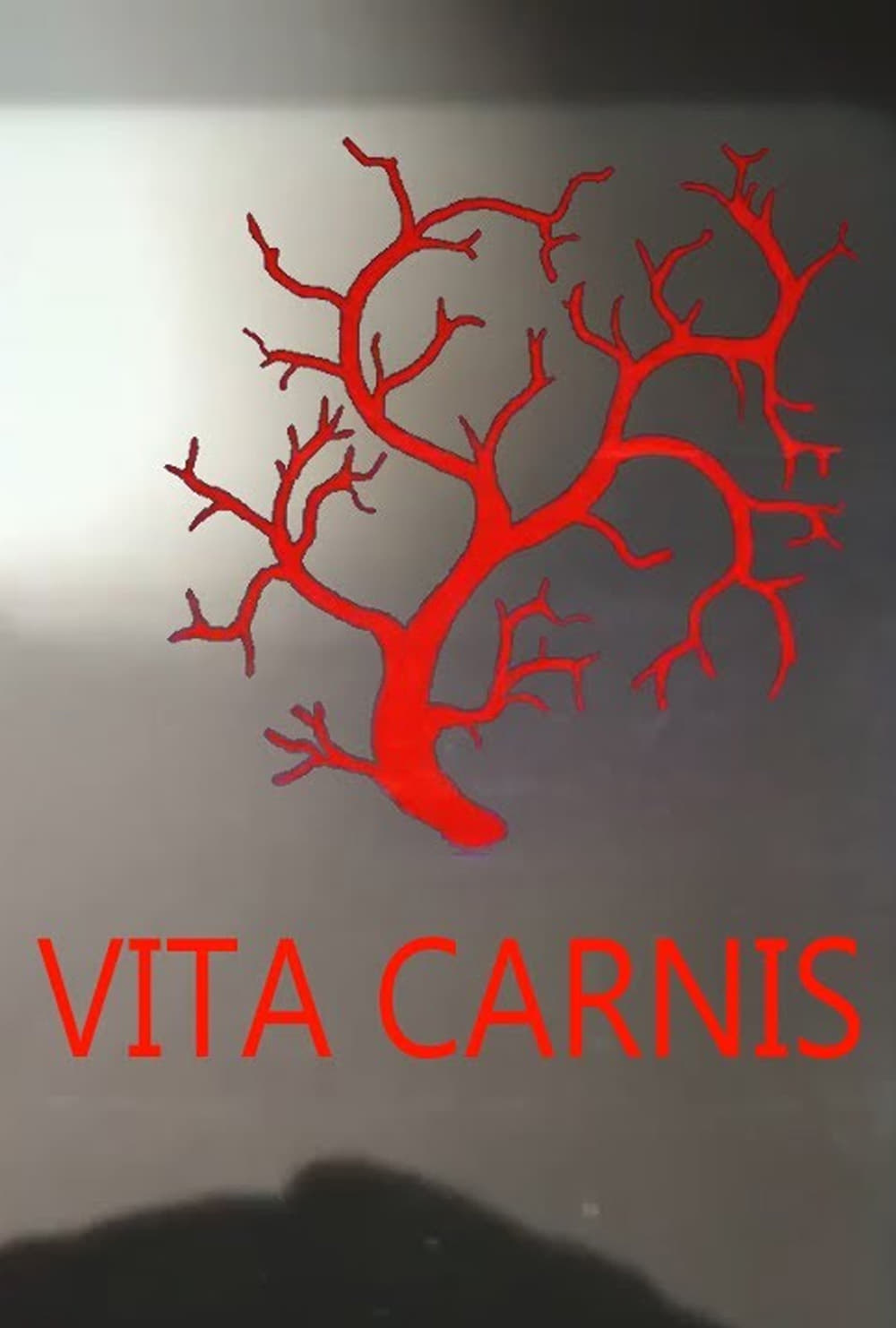 Vita Carnis