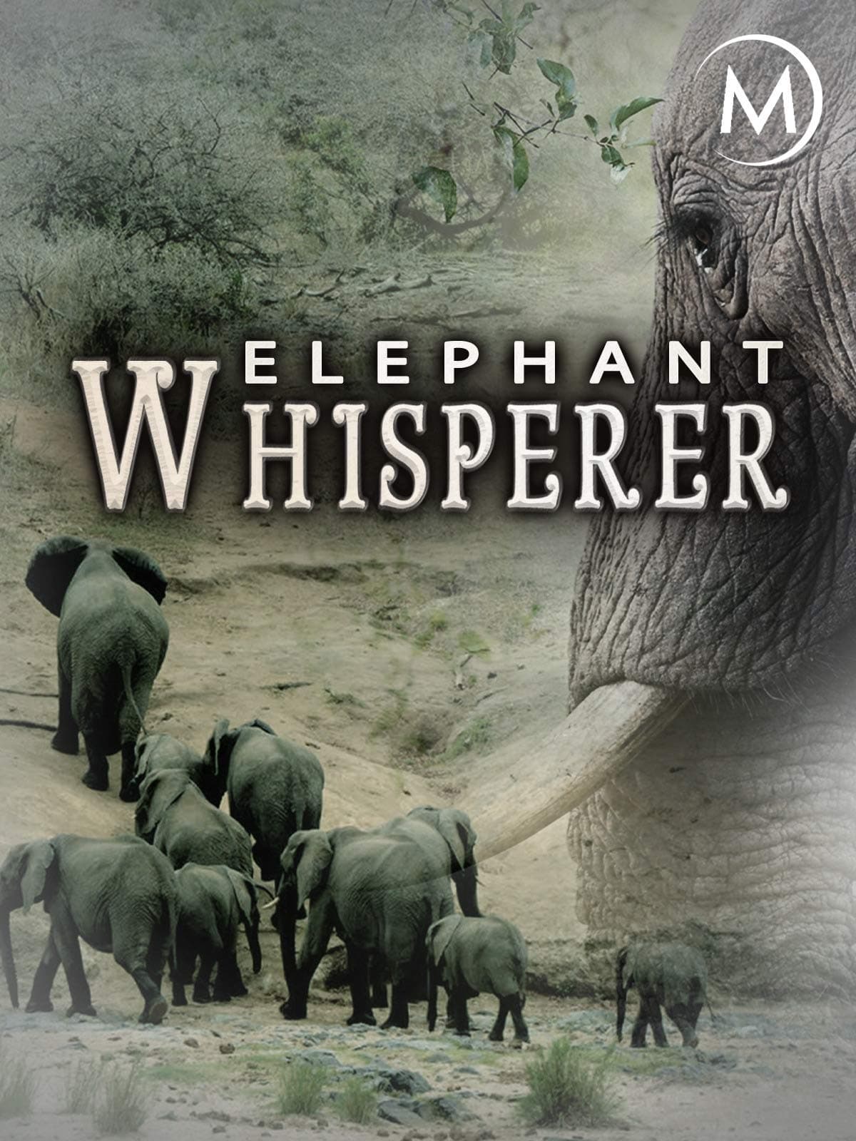 Elephant Whisp­erer