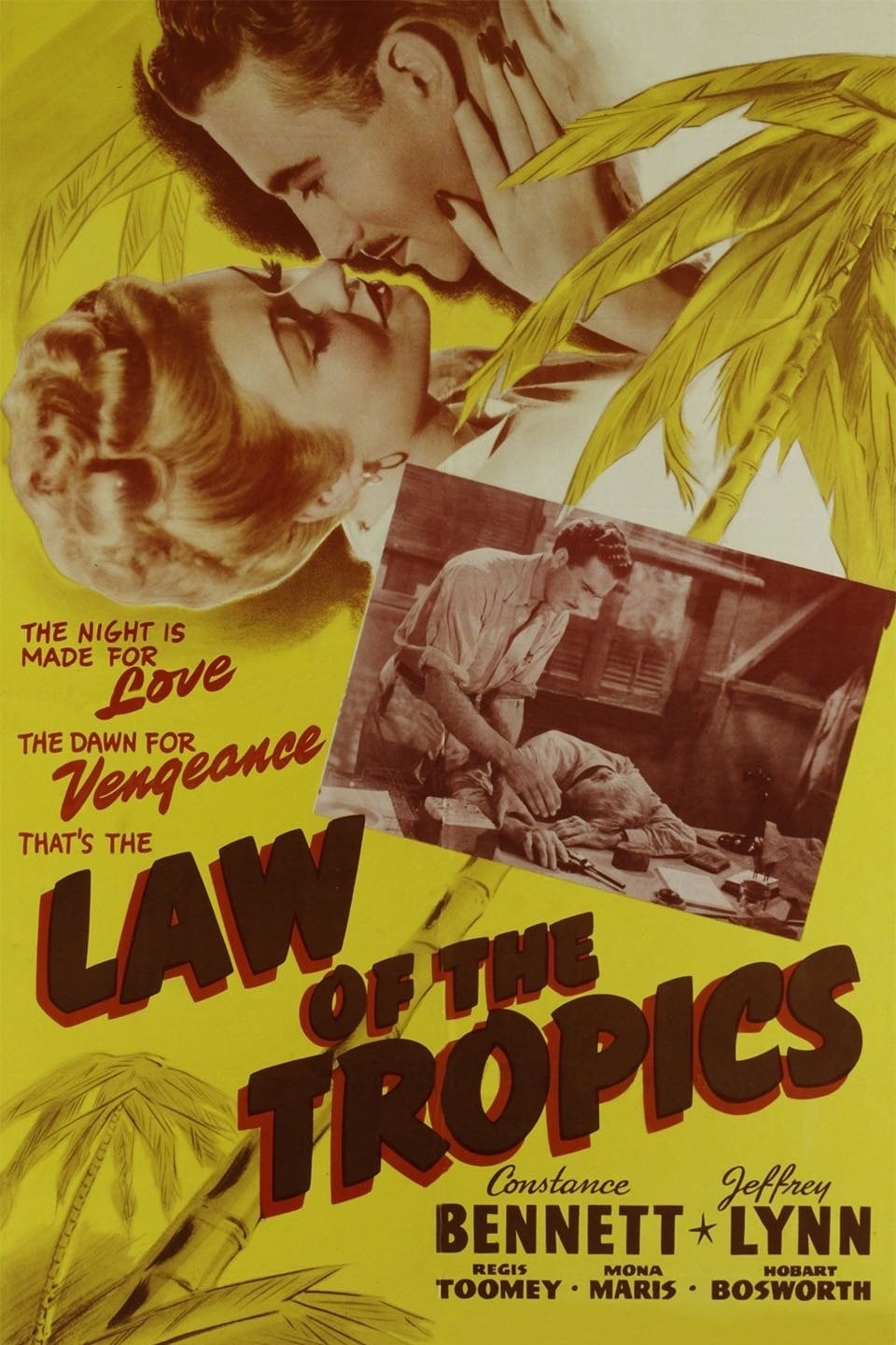 Law of the Tropics (1941)