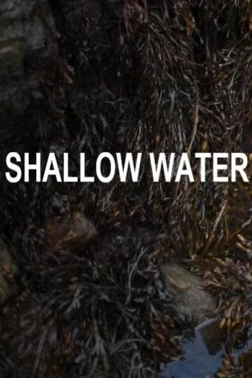 Shallow Water