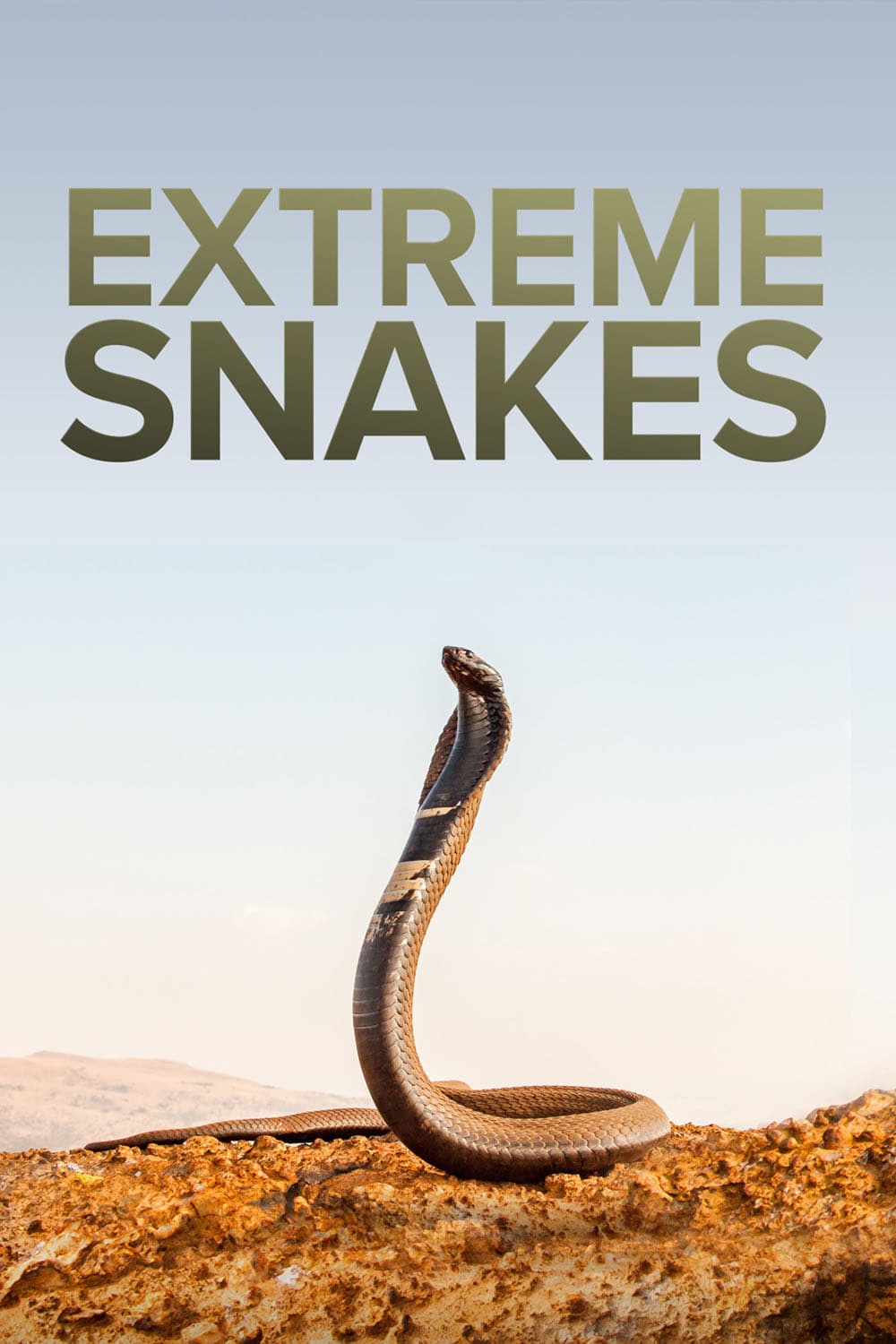Extreme Snakes
