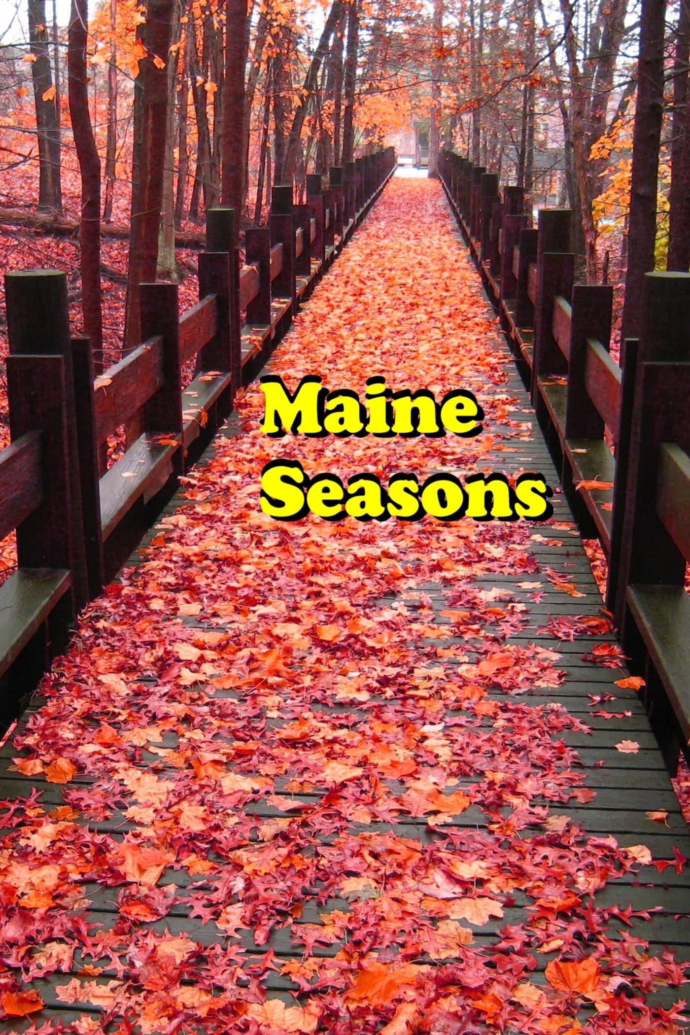 Maine Seasons