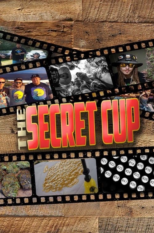The Secret Cup