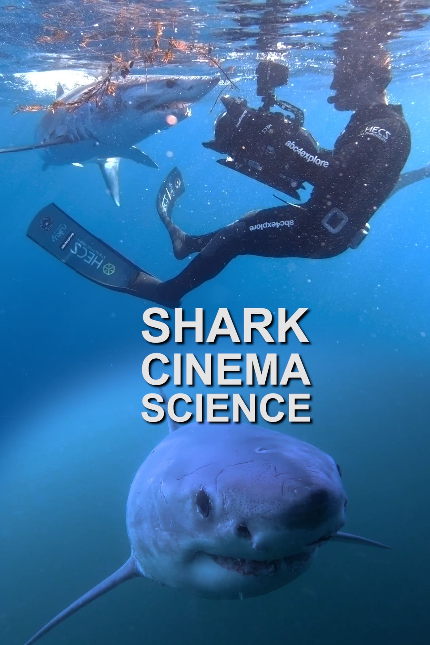 Shark Cinema Science