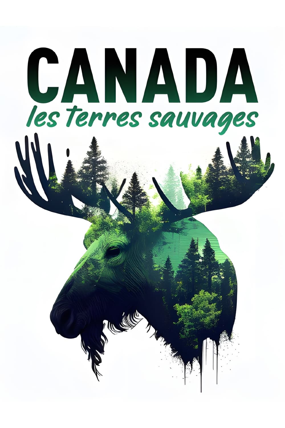 Canada - Les terres sauvages