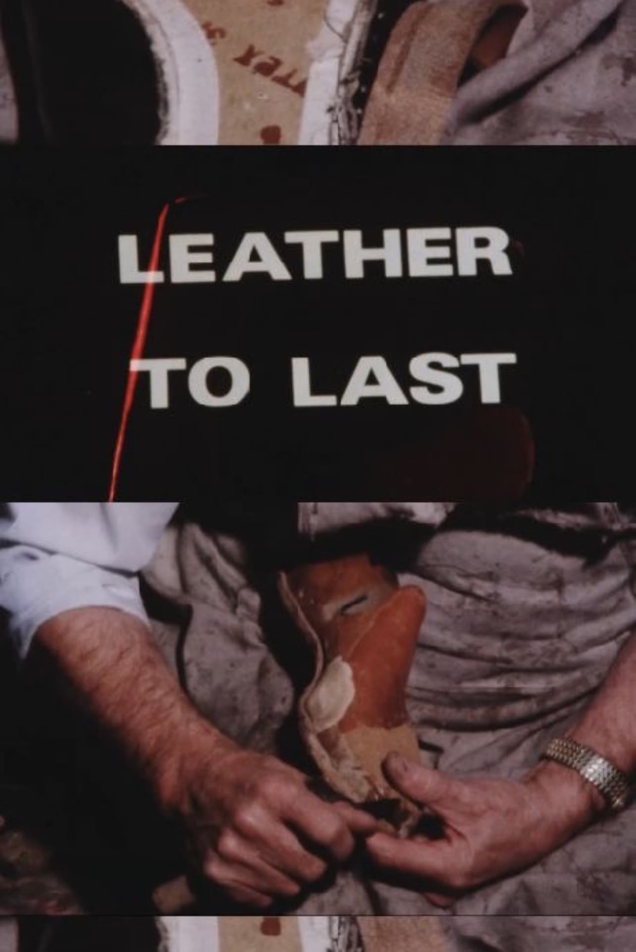Leather to Last