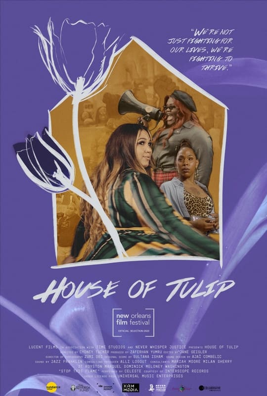 House of Tulip