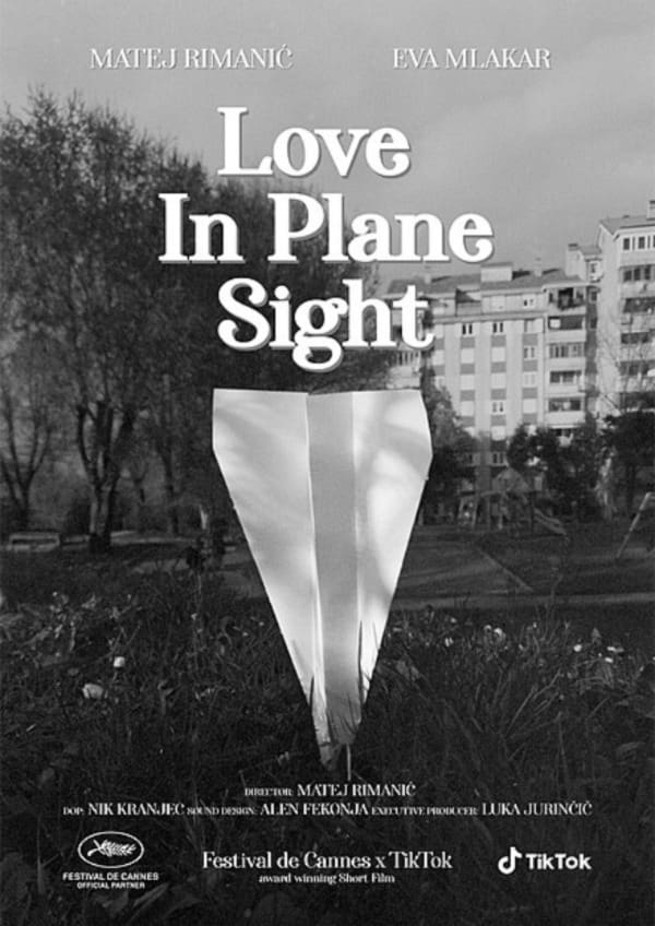 Love In Plane Sight