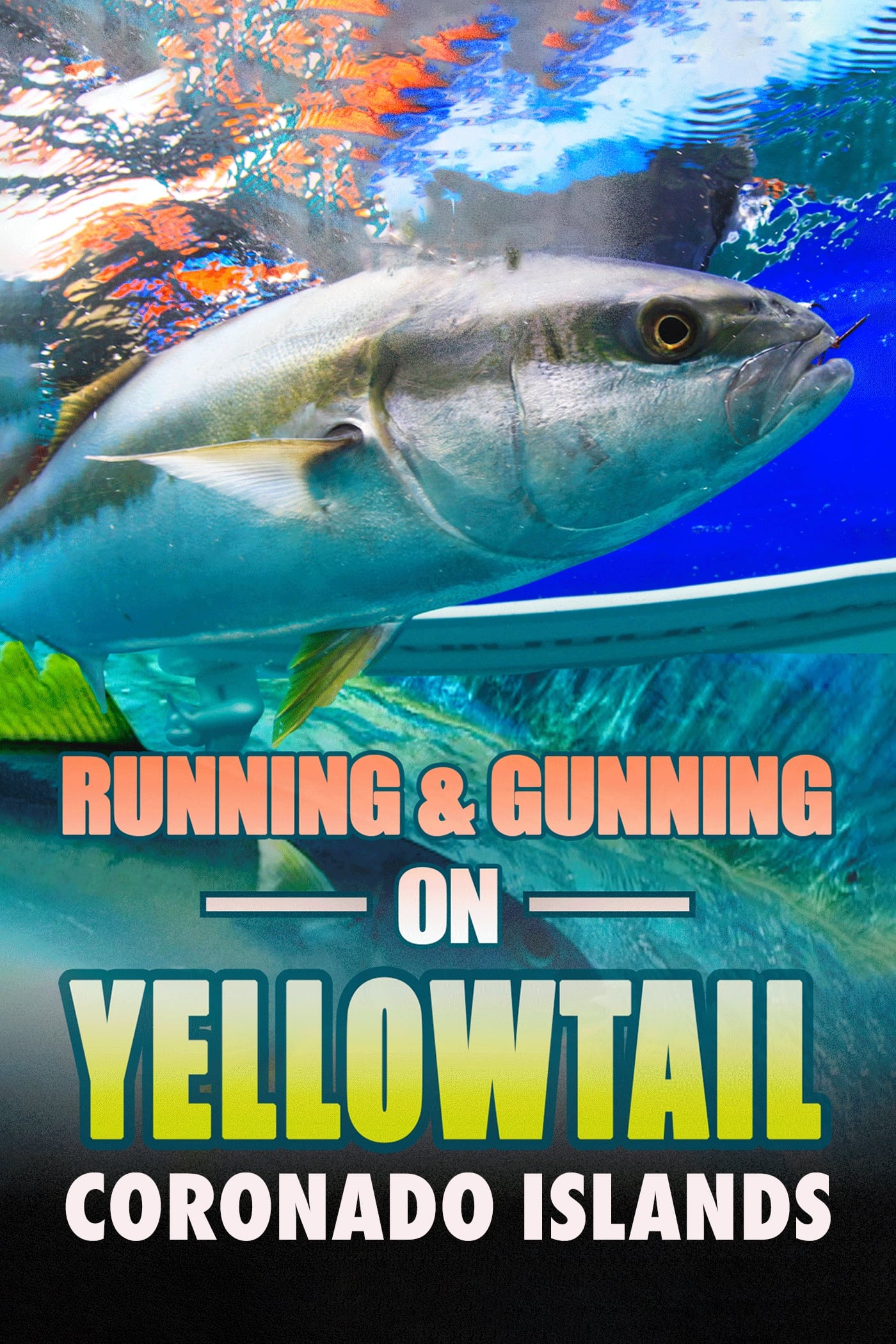 Running & Gunning on Yellowtail: Coronado Islands