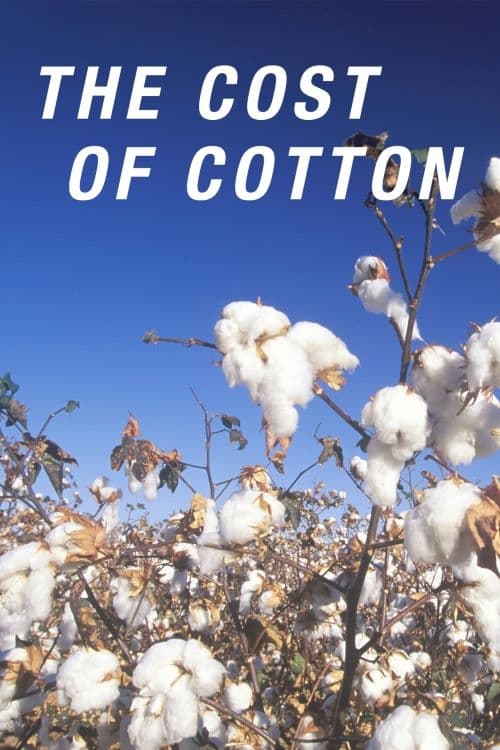 The Cost of Cotton