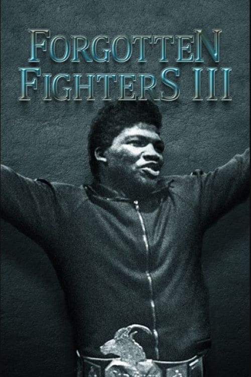 Forgotten Fighters III