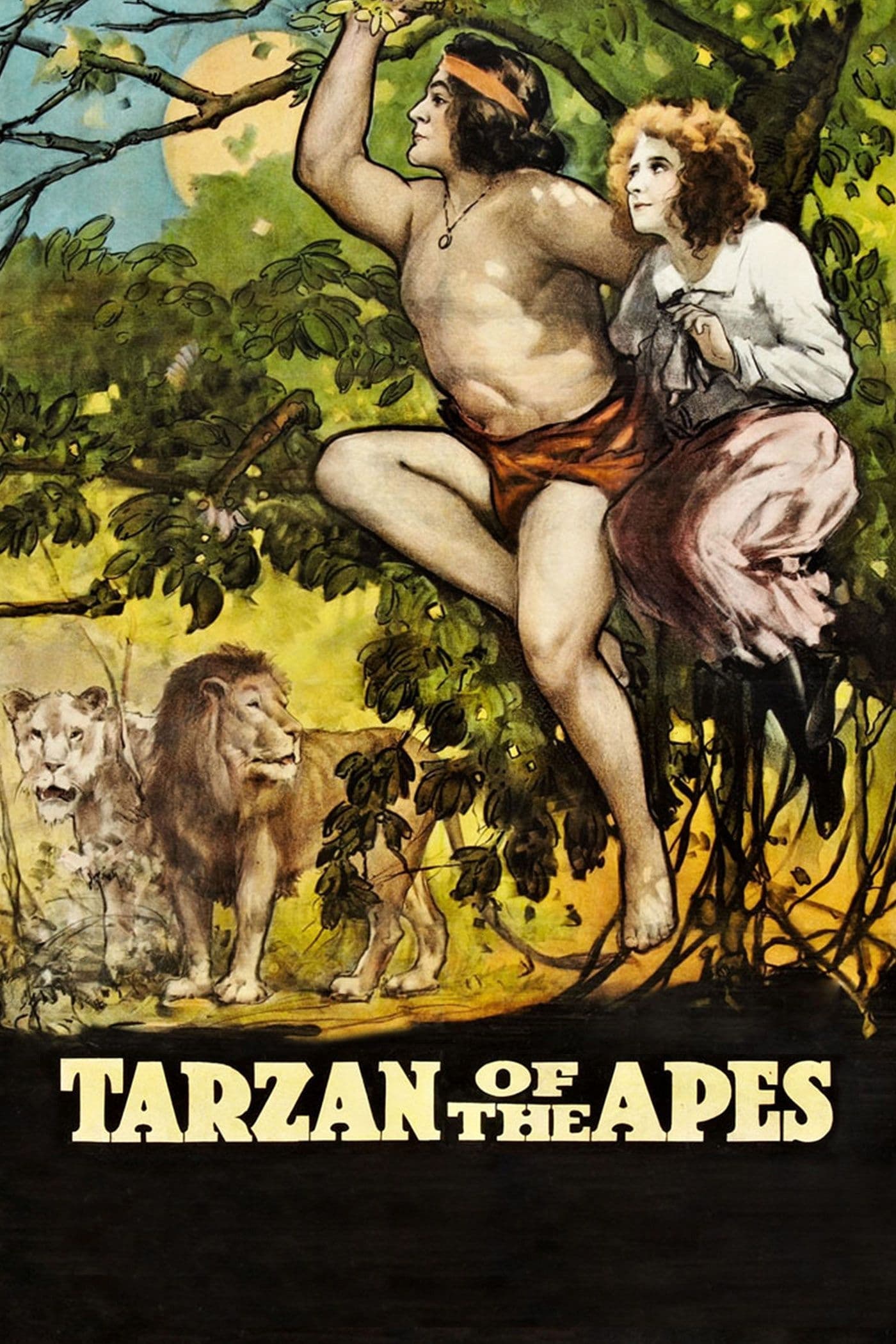 Tarzan bei den Affen