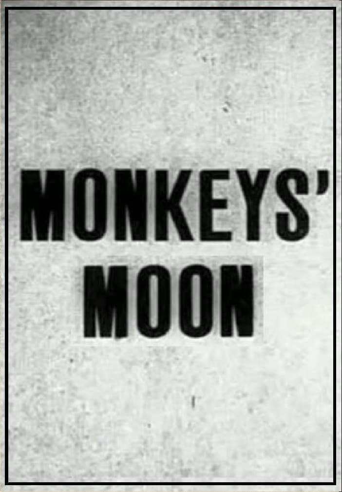 Monkey's Moon
