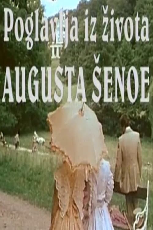 The Life and Times of August Šenoa