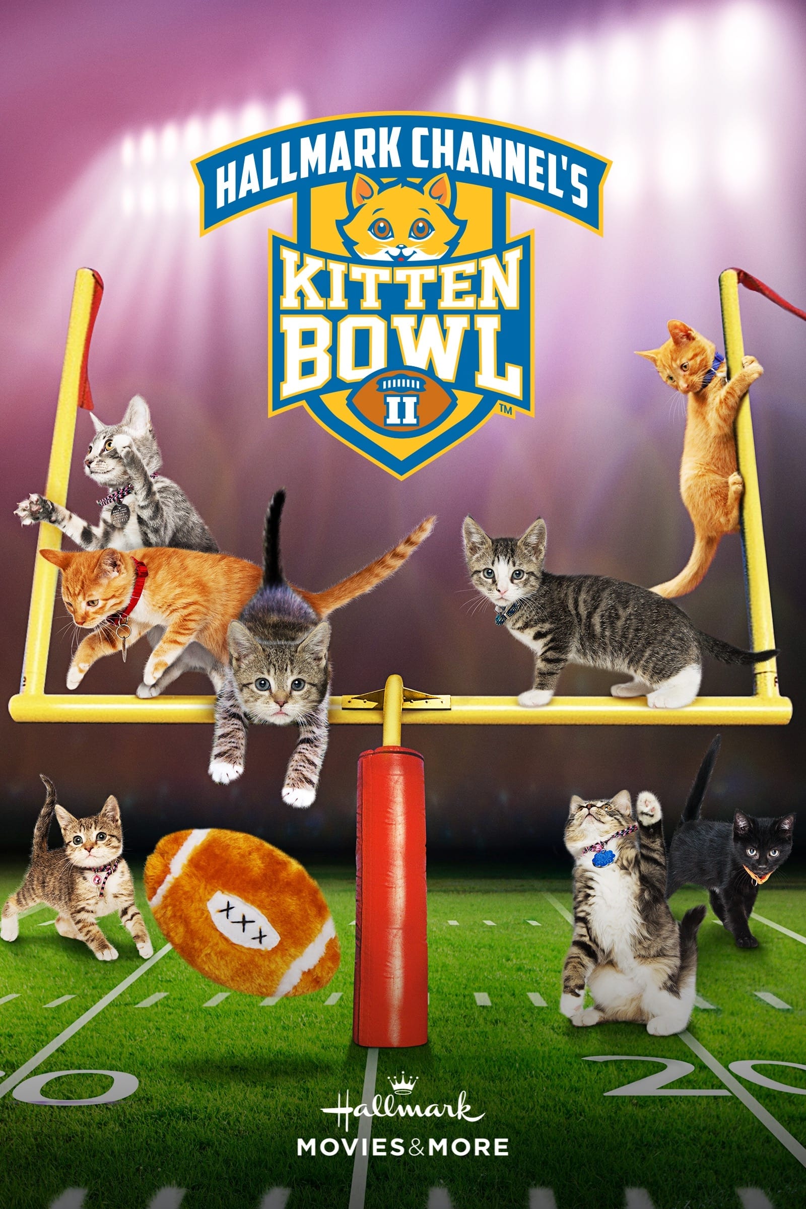 Kitten Bowl II