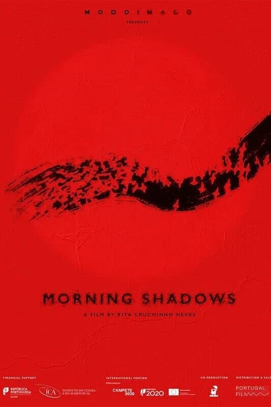Morning Shadows