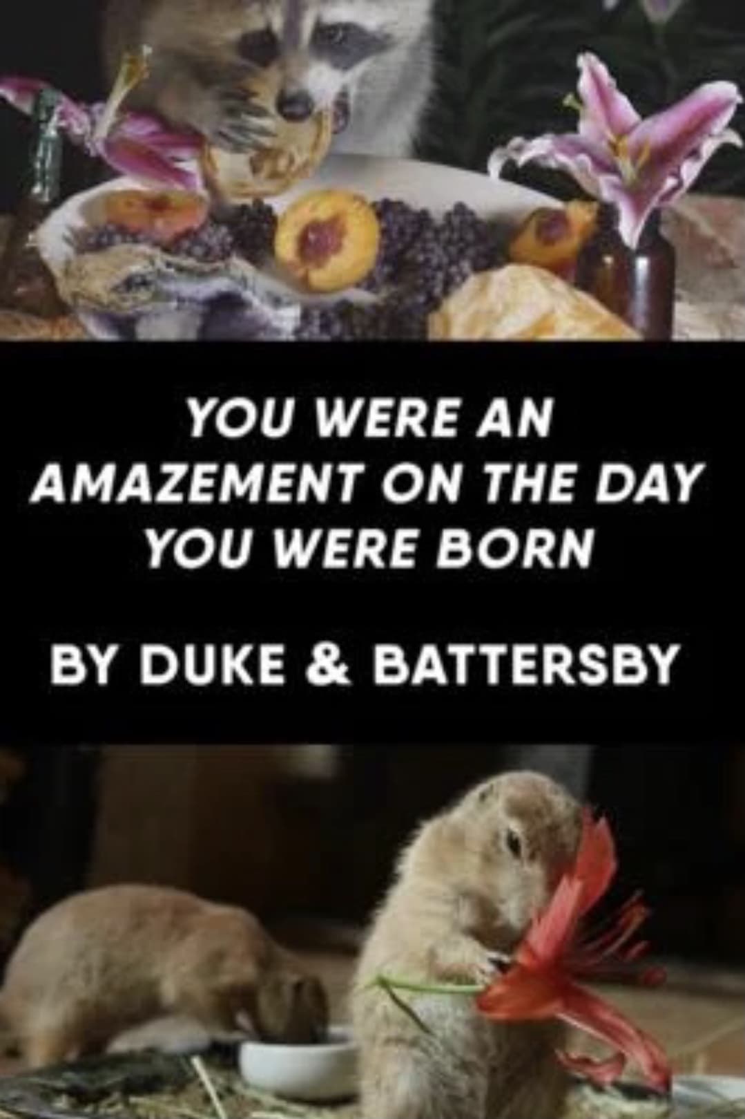 You Were an Amazement on the Day You Were Born