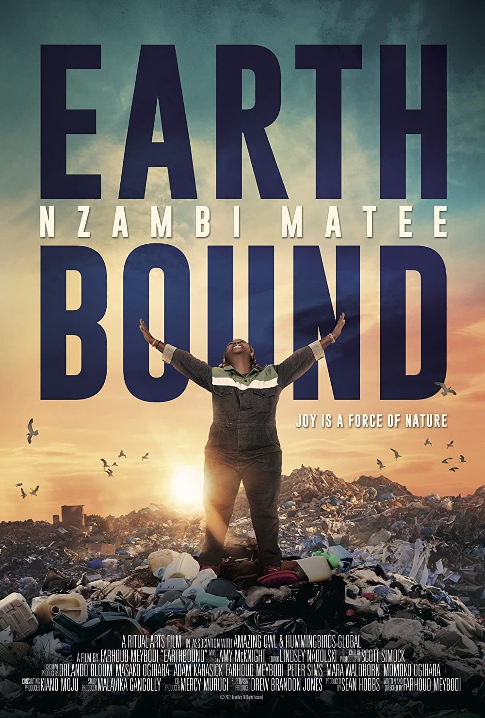 Earthbound: Nzambi Matee