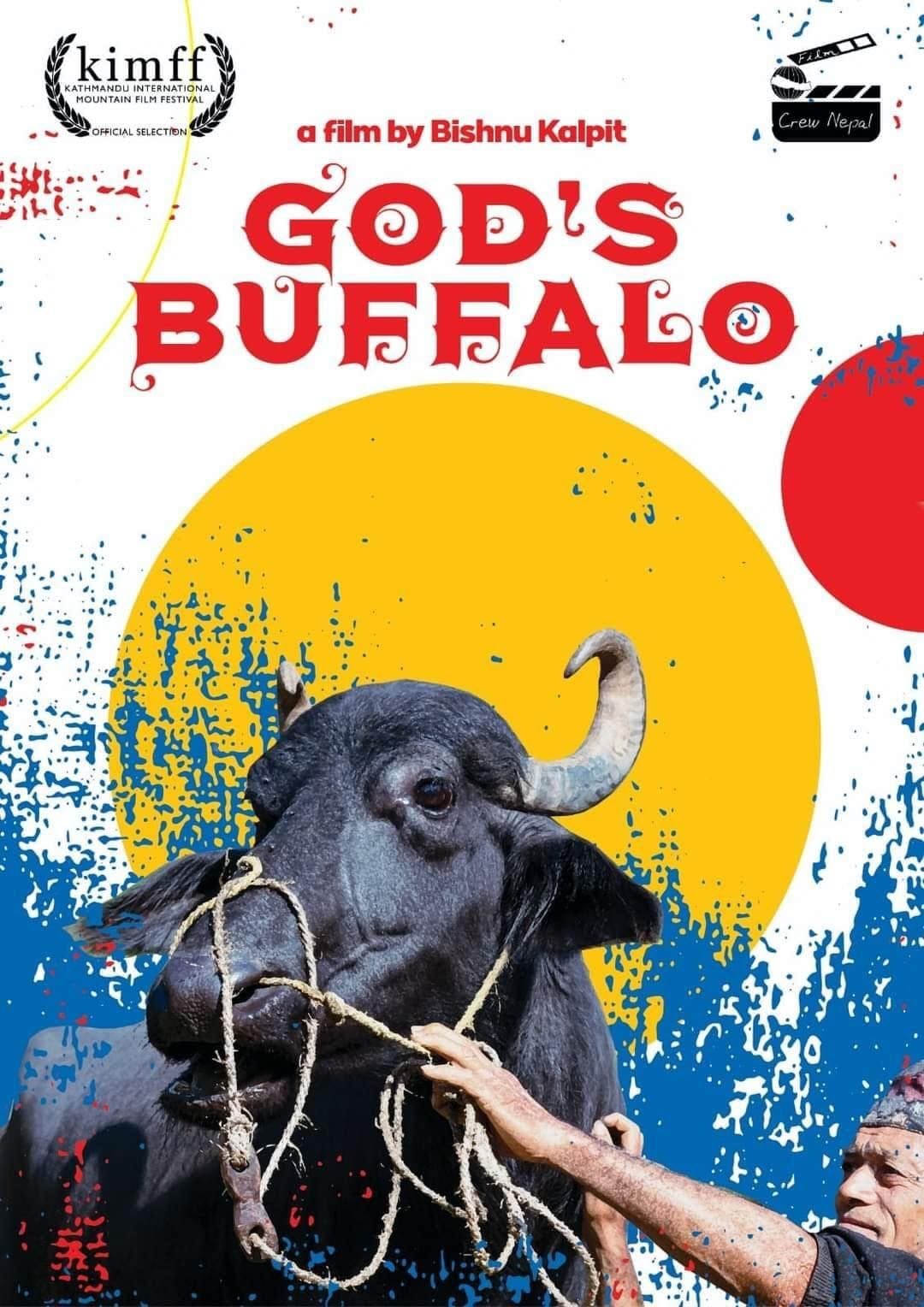 God's Buffalo