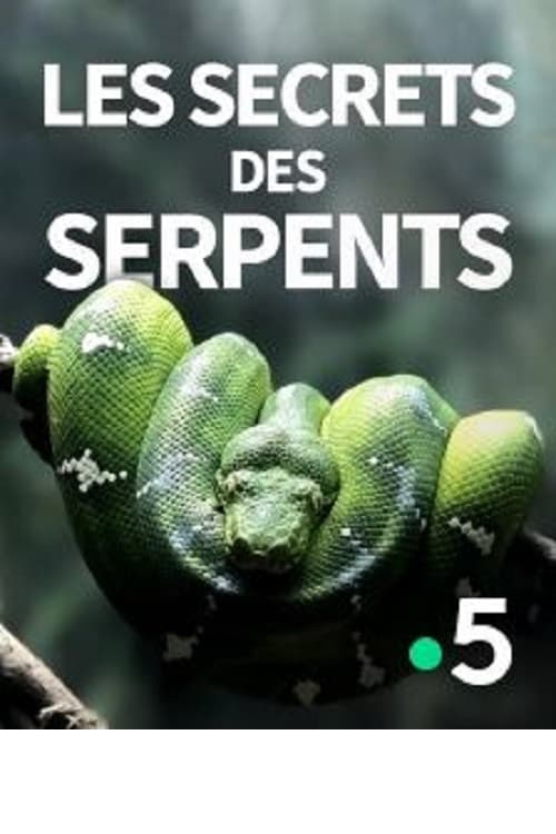 The Secrets of the Snakes