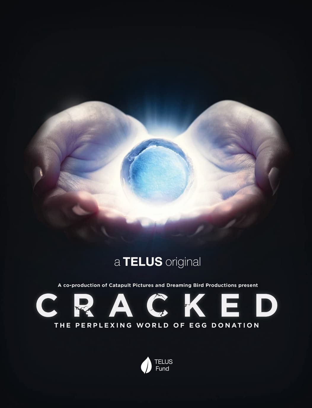 Cracked: The Perplexing World of Egg Donation