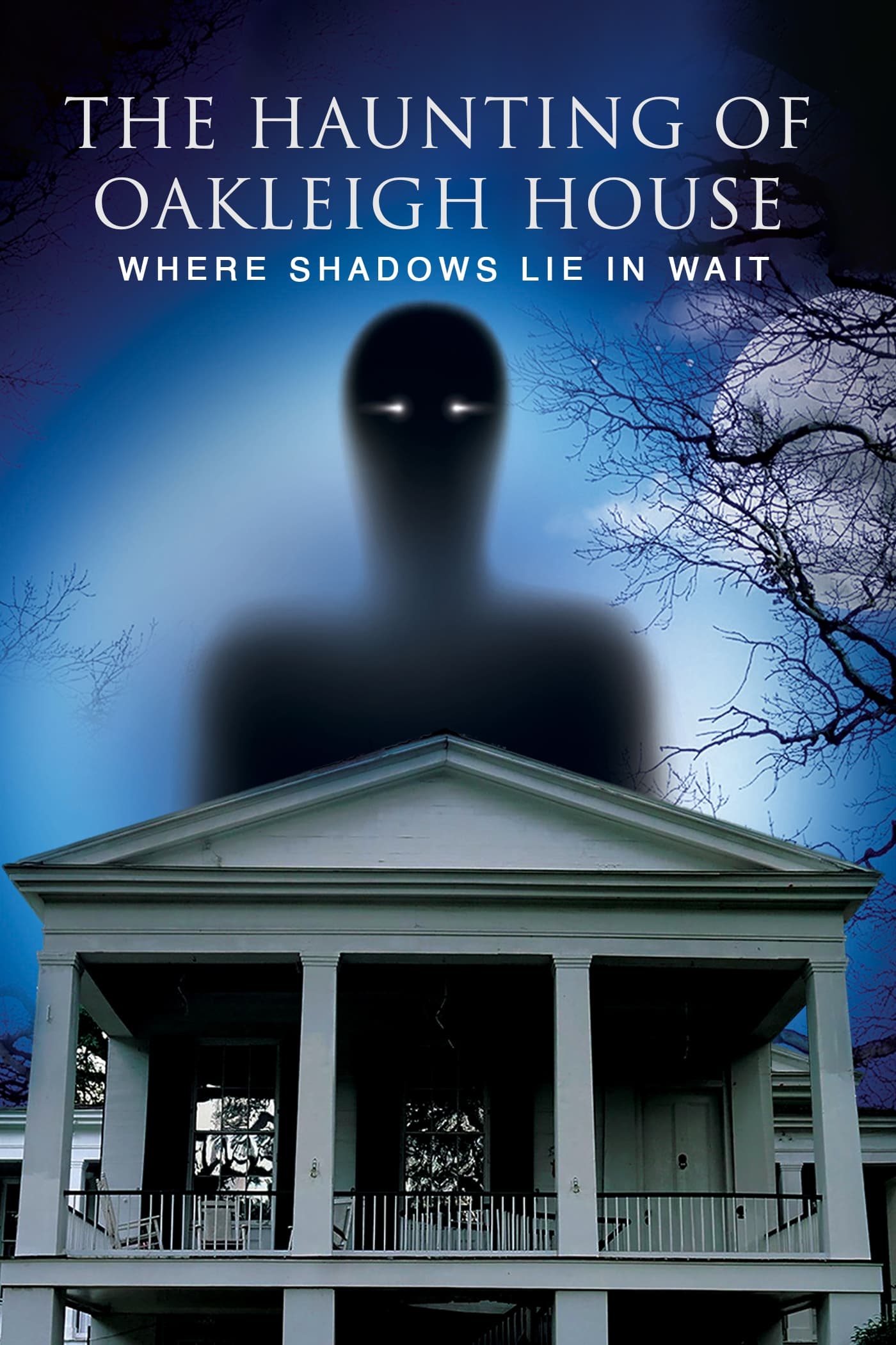 The Haunting of Oakleigh House: Where Shadows Lie in Wait