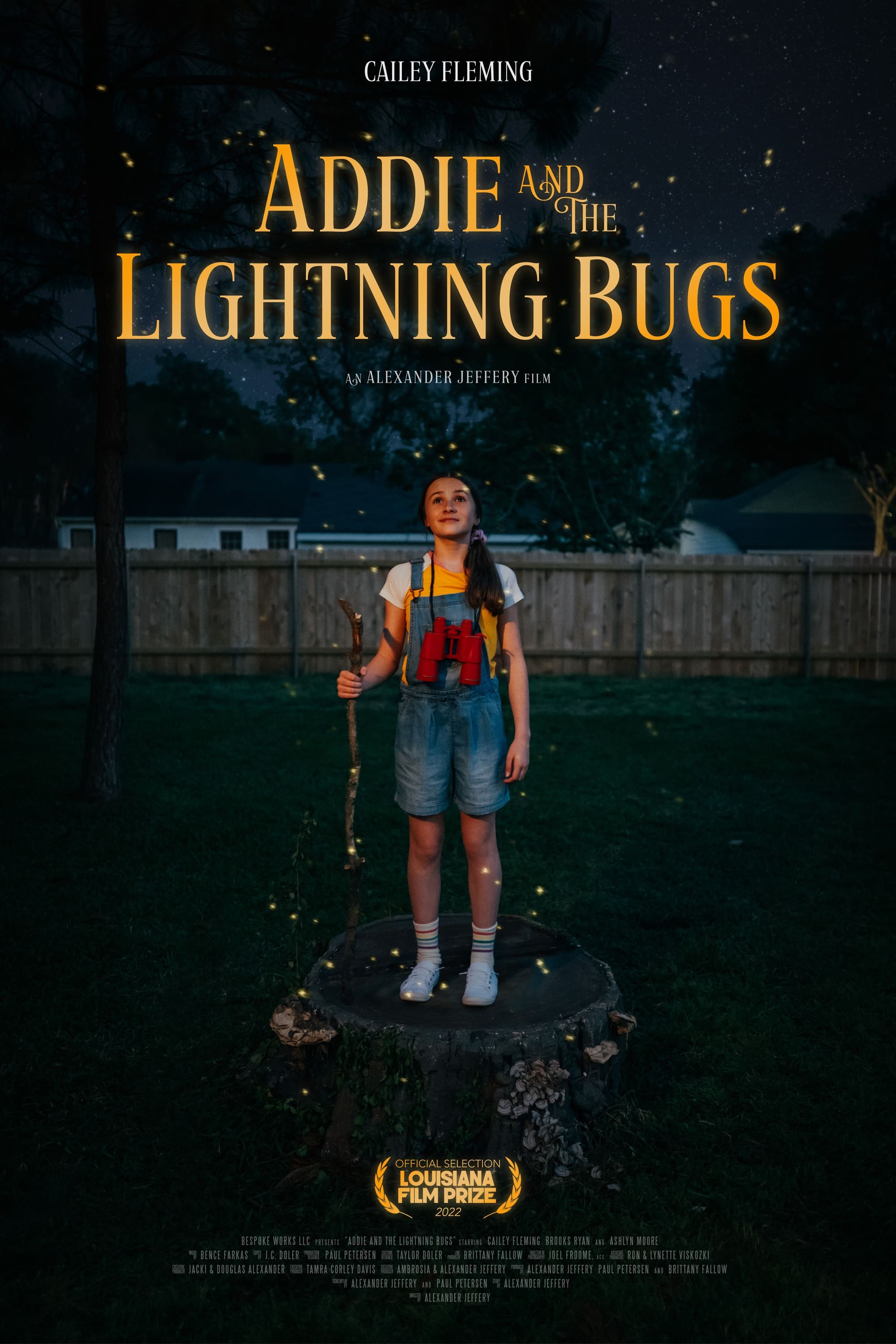 Addie and the Lightning Bugs