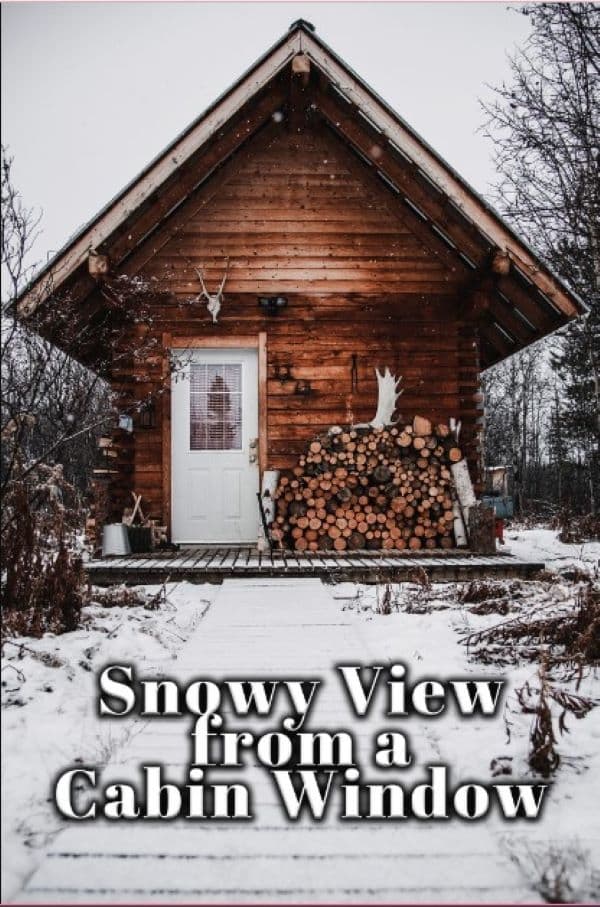 Snowy View from a Cabin Window