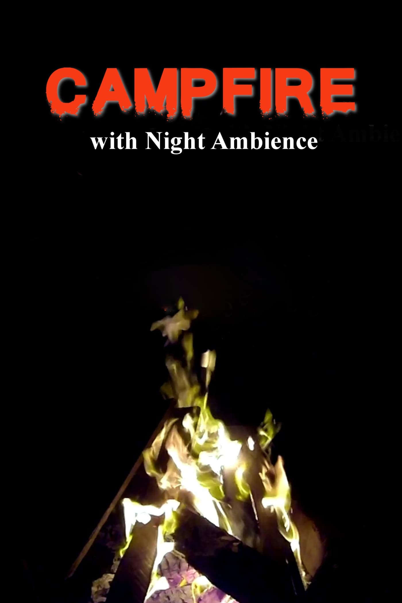 Campfire with Night Ambience