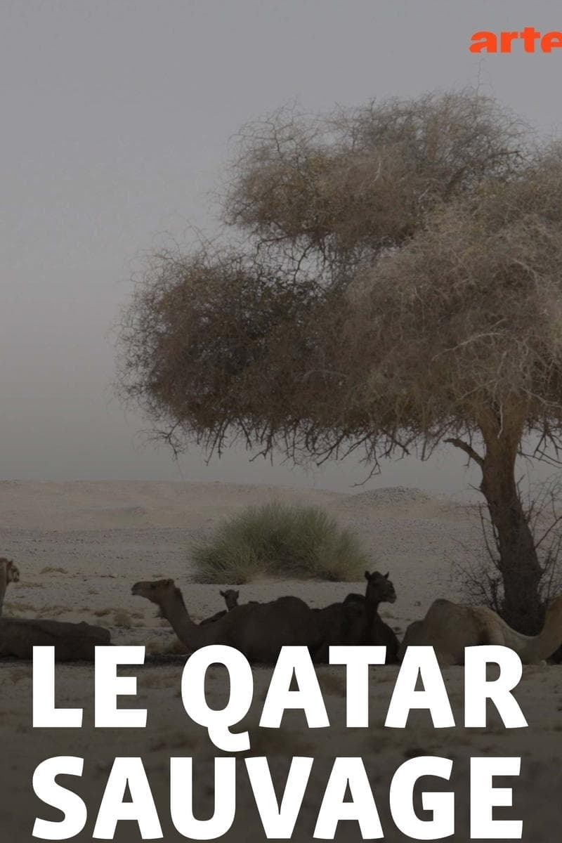 Wildes Katar