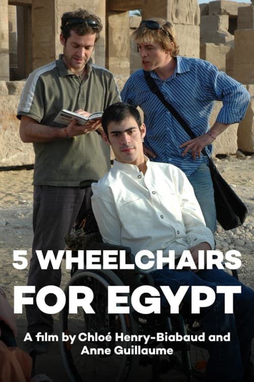 Five Wheelchairs for Egypt