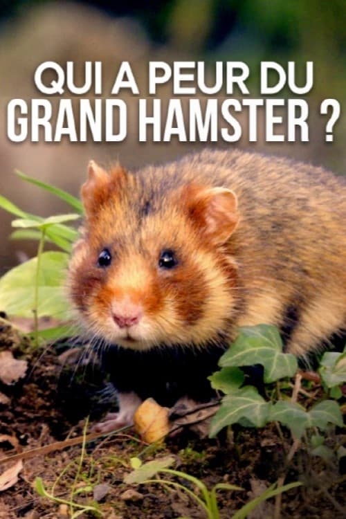 Qui a peur du grand hamster ?