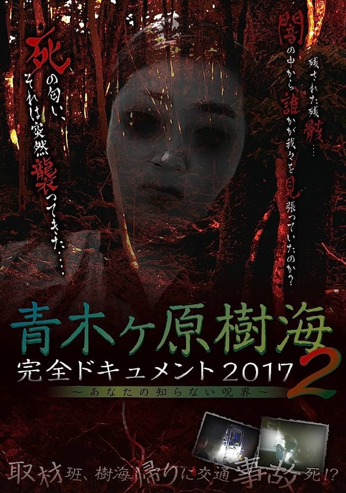 Aokigahara Jukai: Complete Document 2017 - The Curse You Don't Know 2