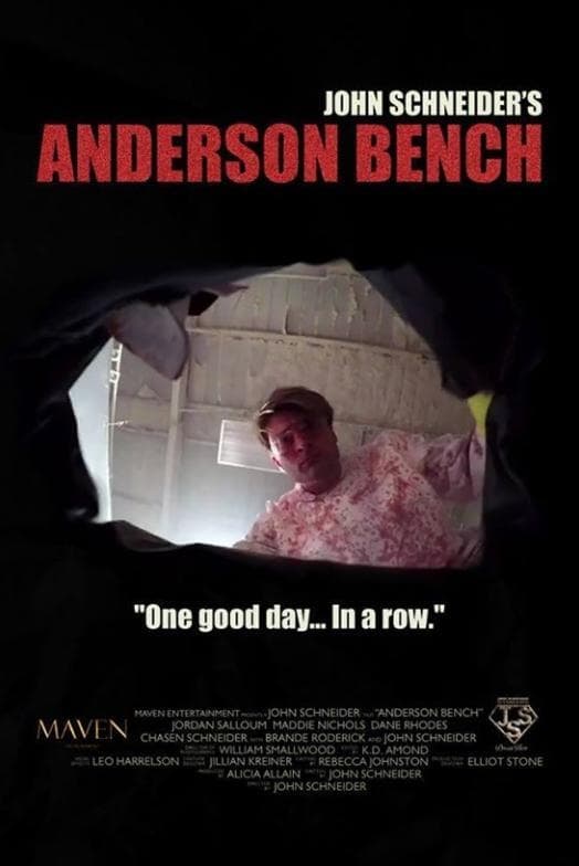 Anderson Bench (2016)