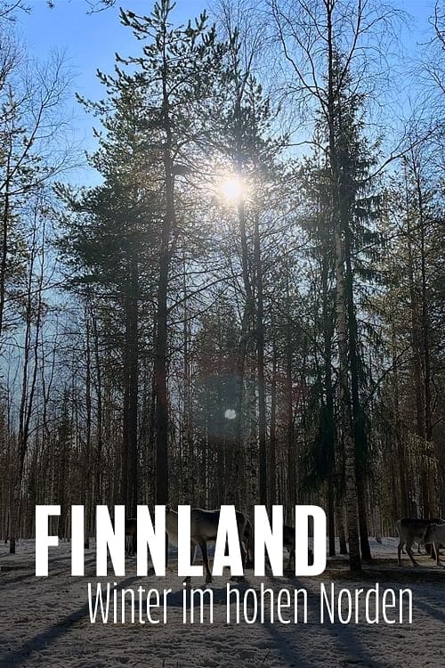 Finnland - Winter im hohen Norden