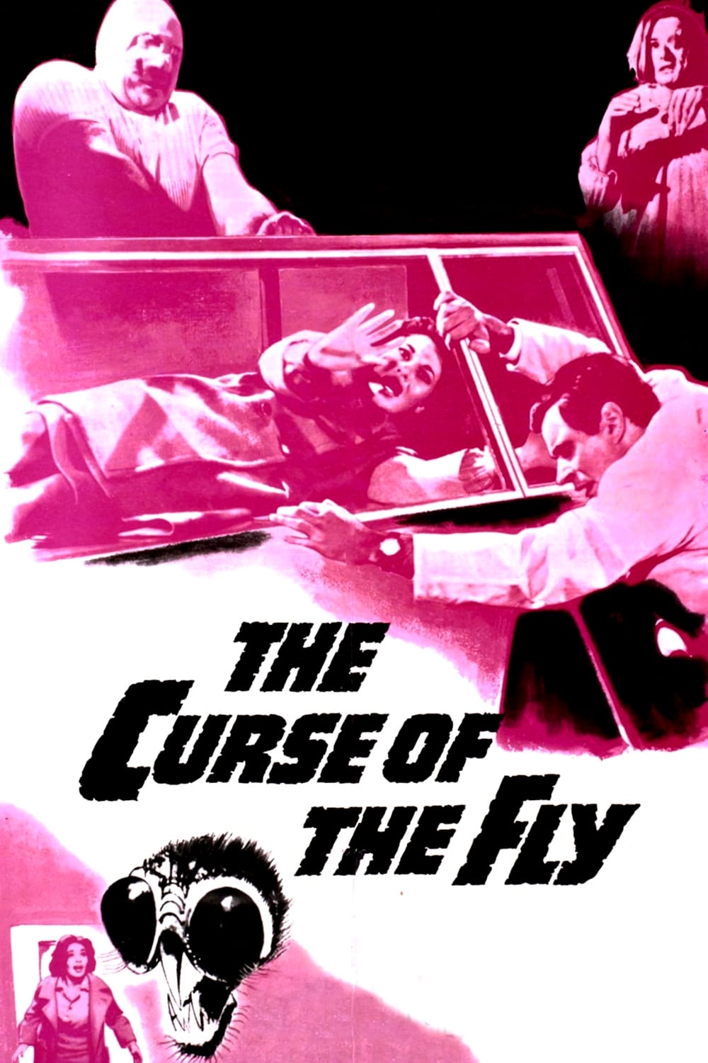 La maldición de la mosca (1965)