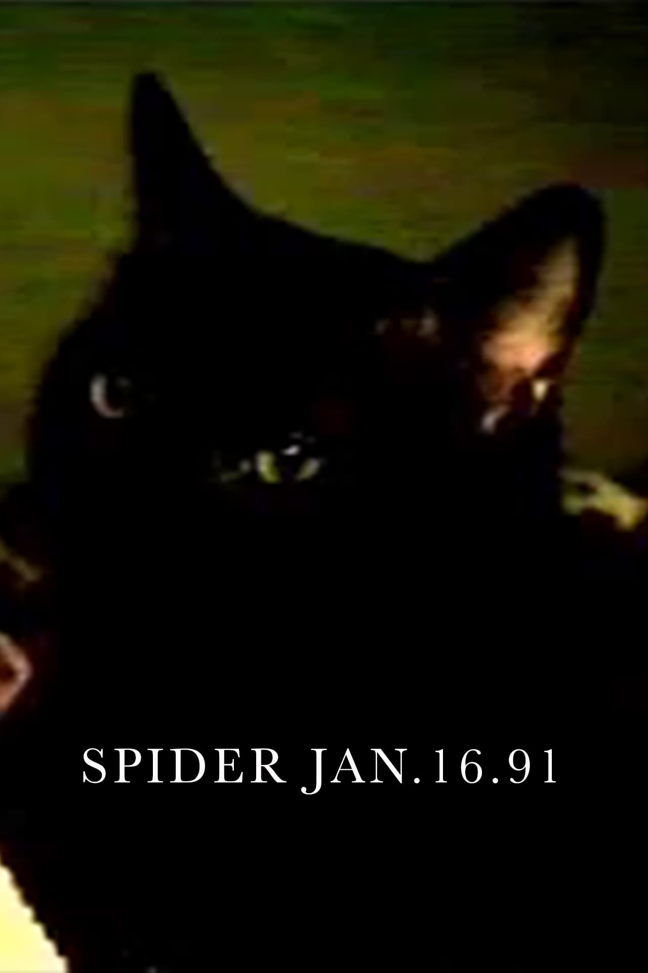 Spider Jan.16.91