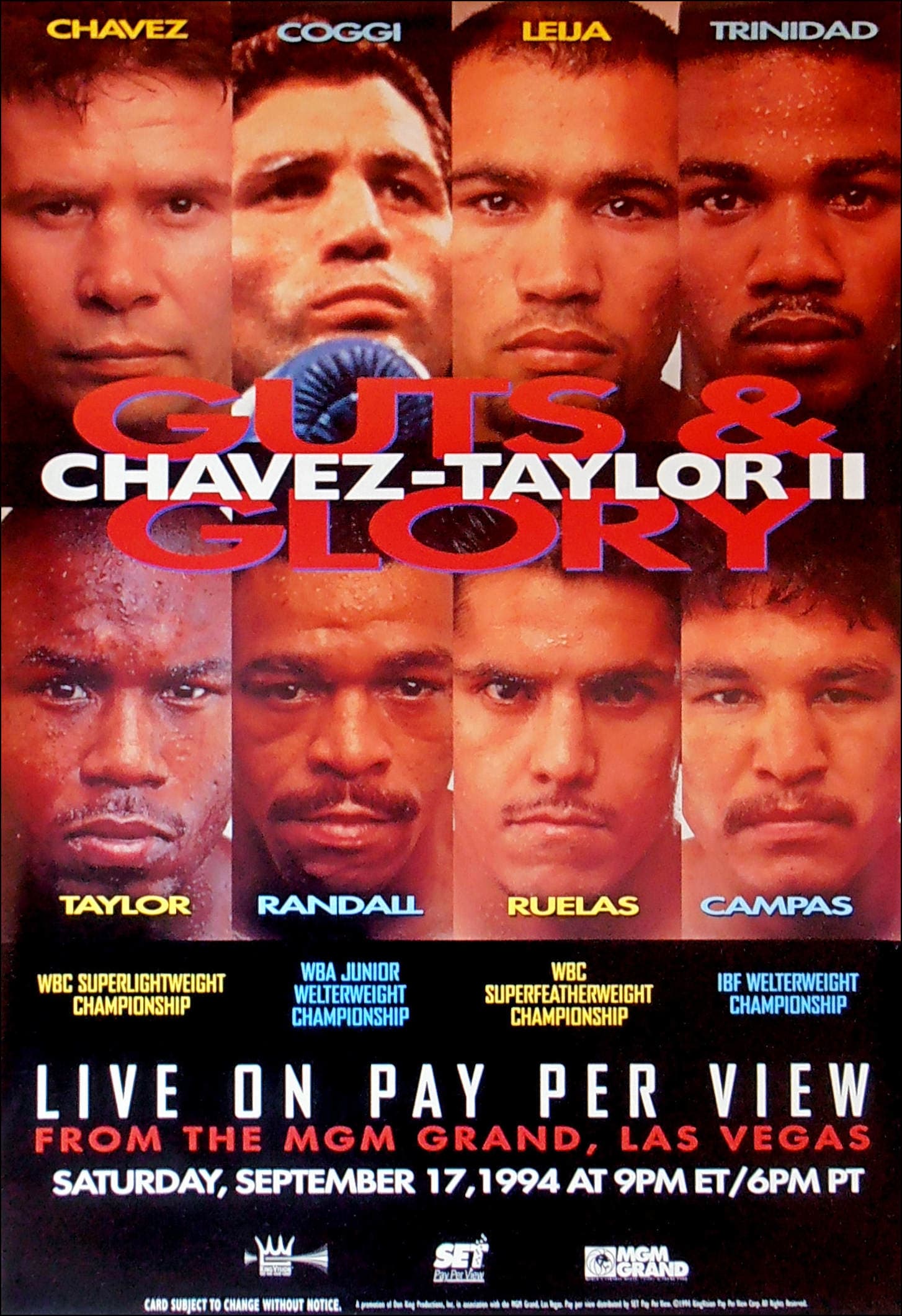 Julio César Chávez vs. Meldrick Taylor II