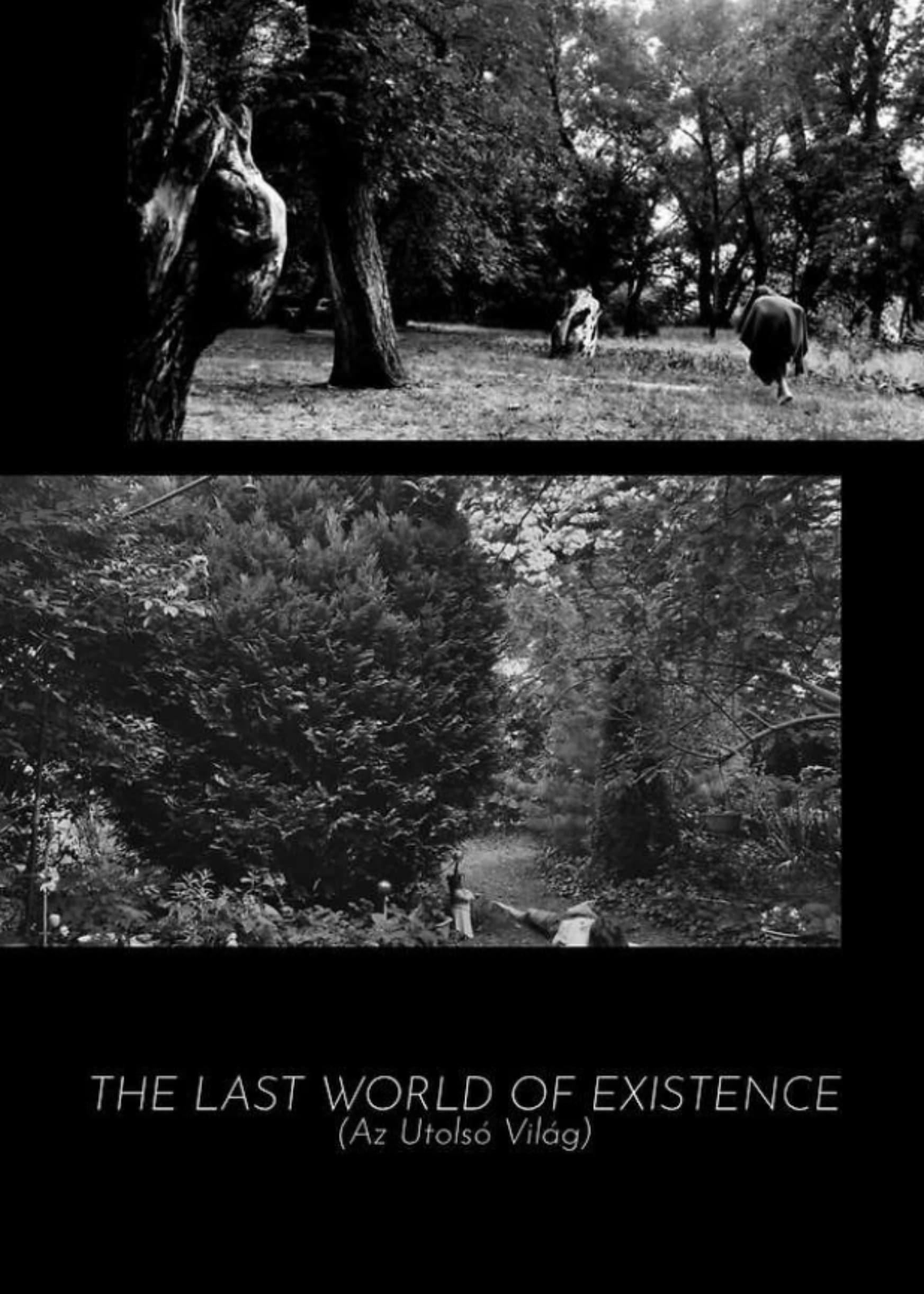 The Last World Of Existence