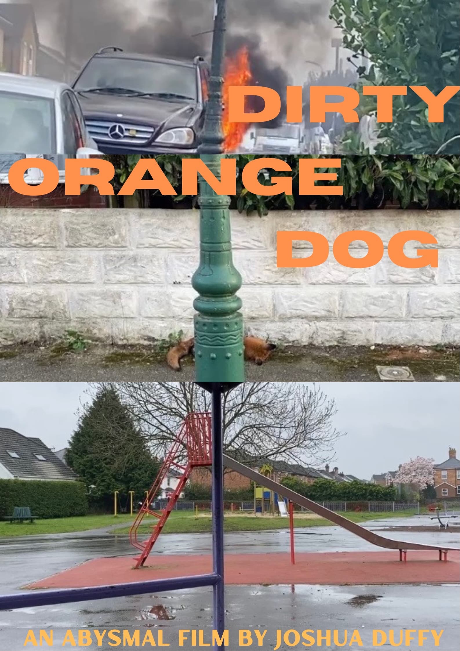 Dirty Orange doG