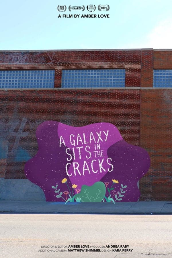 A Galaxy Sits in the Cracks