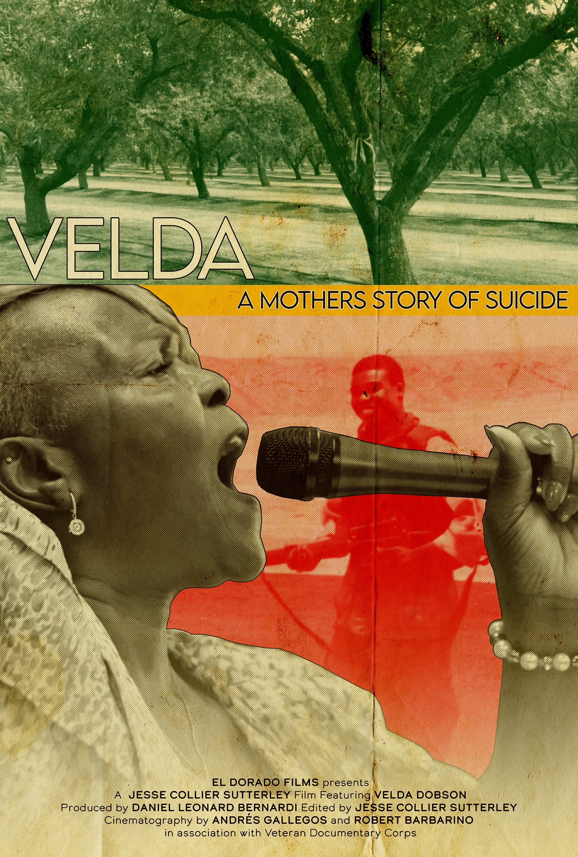 Velda: A Mom's Story of Suicide