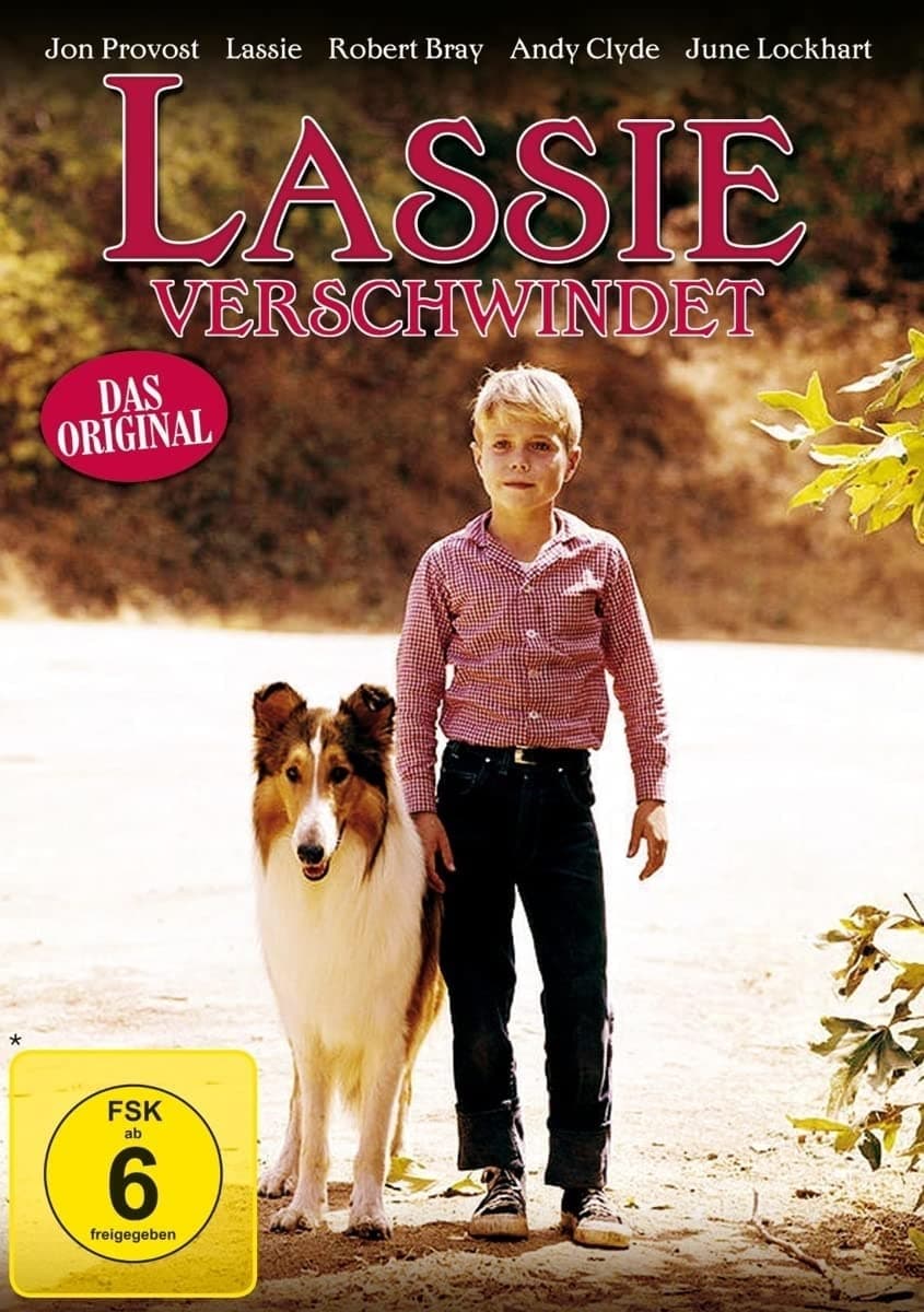 Lassie: Disappearance