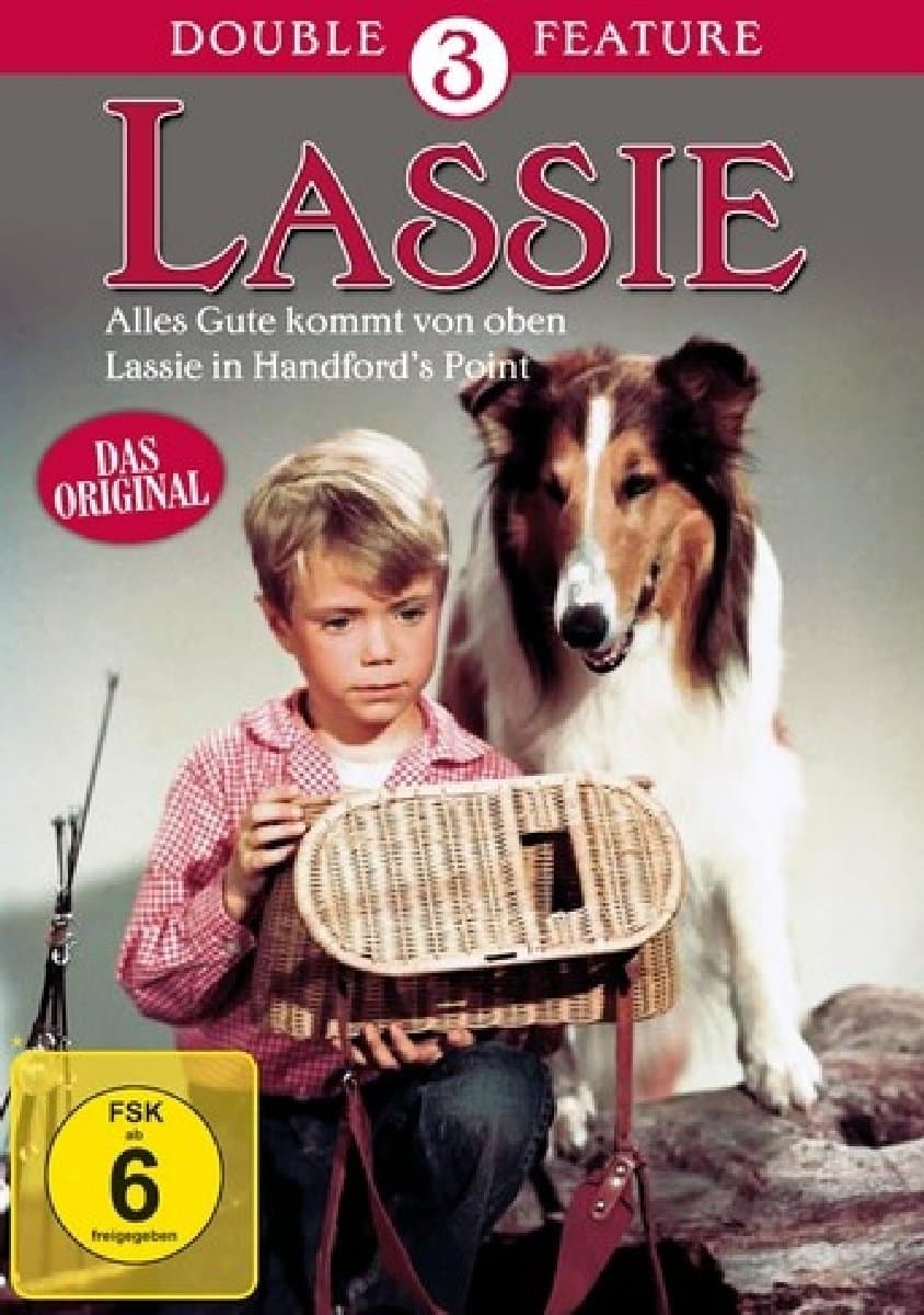 Lassie In Handford